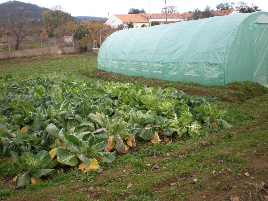 Quinta Da Mina Villa Monsanto Dış mekan fotoğraf